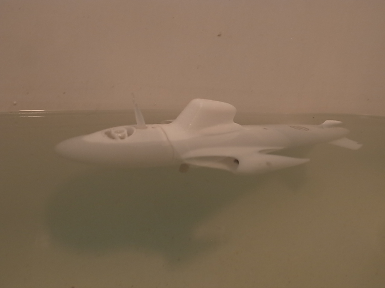 潜水可能なるや?_d0067943_17401339.jpg