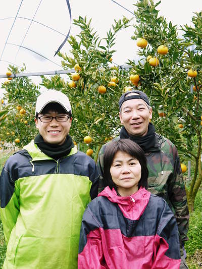 究極の柑橘「せとか」 匠の花芽剪定と元気な花 そして今年も力強く着果しました(その2)_a0254656_18442389.jpg