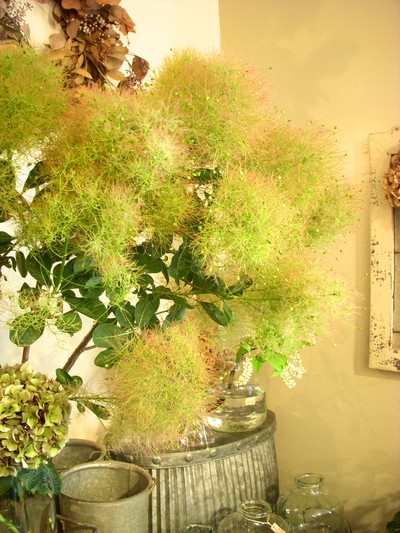 ご注文のお花たち。。。_a0229658_84595.jpg
