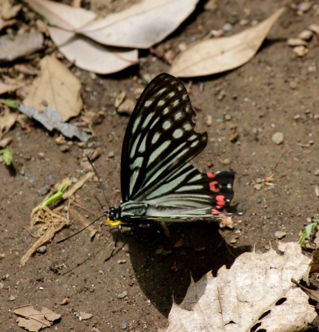 a0248459_06531181.jpg