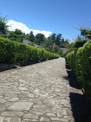 c0115560_10252829.jpg