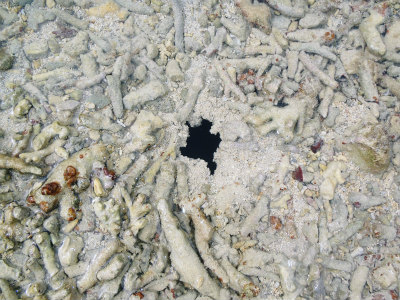c0180460_2325248.jpg