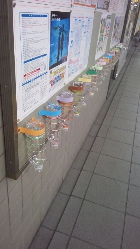 f0200871_014940.jpg
