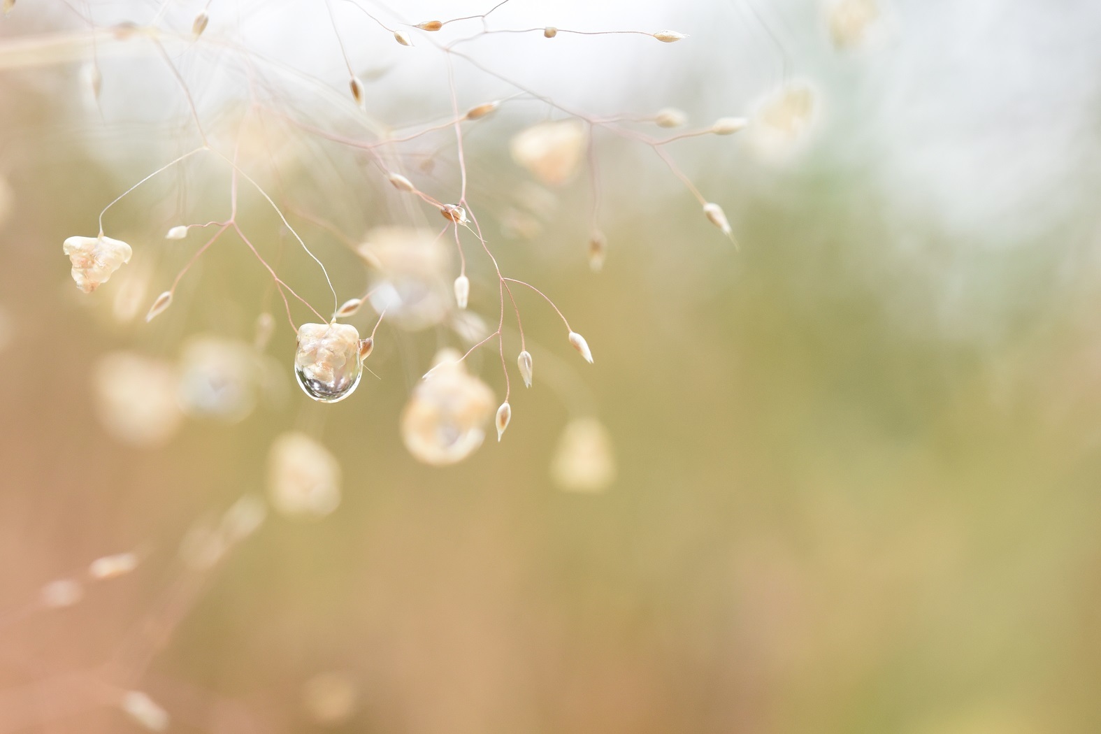 雨がやんだら_e0344574_21531145.jpg