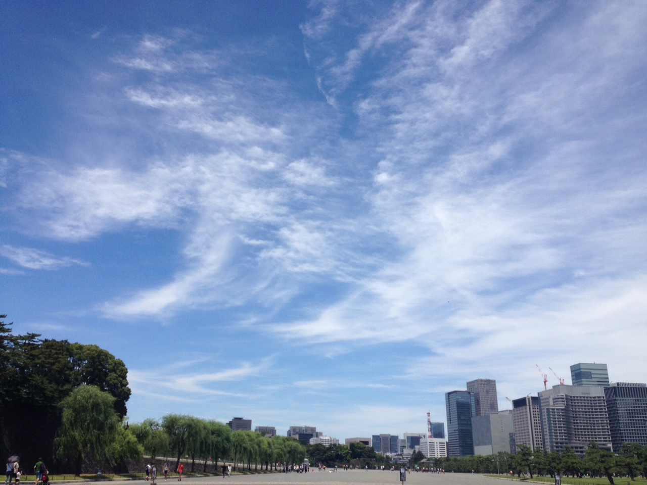 c0097677_13534110.jpg