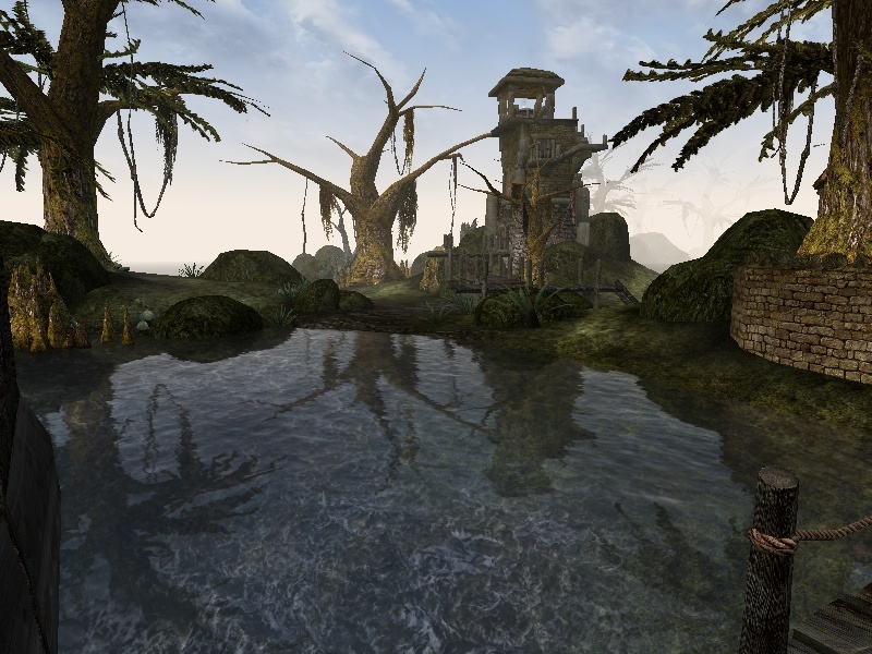 Morrowind その3　4度目の環境構築&プチ高速化メモ_a0314481_20092965.jpg