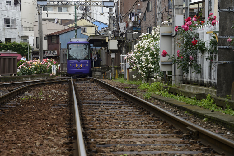 終着駅なのか始発駅なのか_a0222184_14571091.jpg