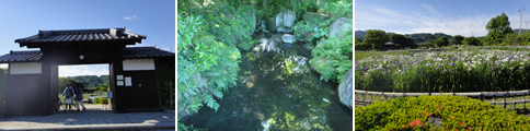 d0132289_16530635.jpg