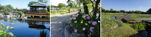 d0132289_16584908.jpg