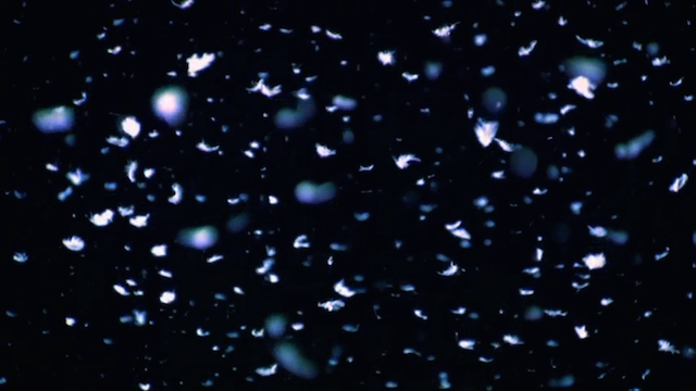 b0316791_14590185.png