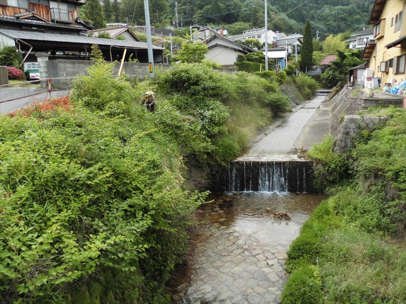 川掃除_c0108198_1663264.jpg