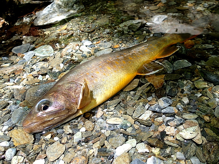 c0339900_20403340.jpg