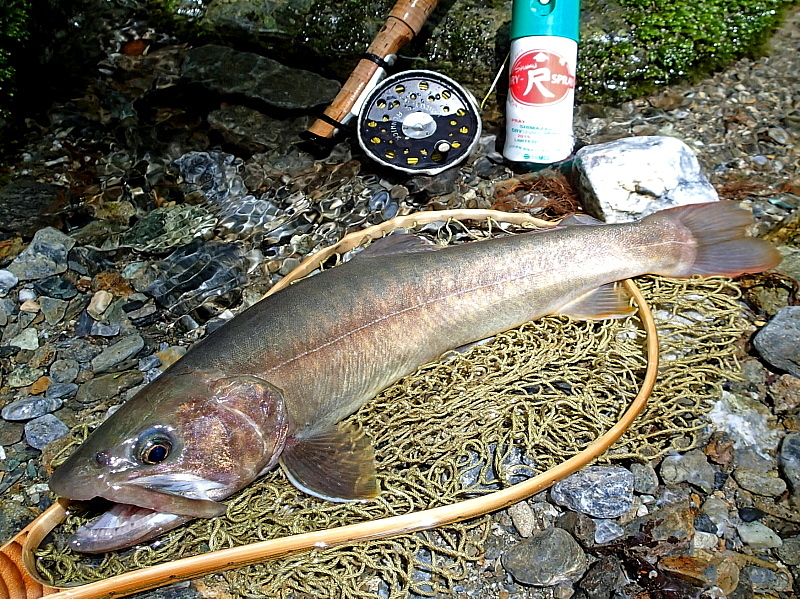 c0339900_2105020.jpg