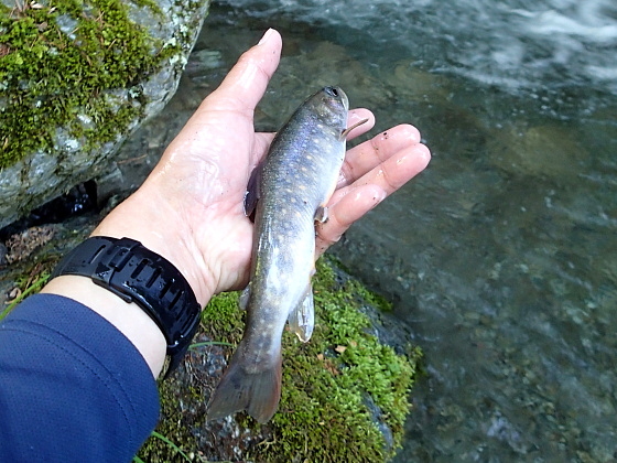 c0339900_637399.jpg