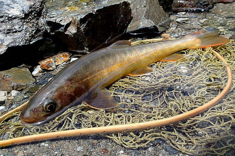 c0339900_744073.jpg