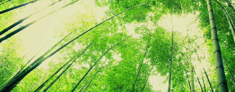 a0237302_23082634.jpg