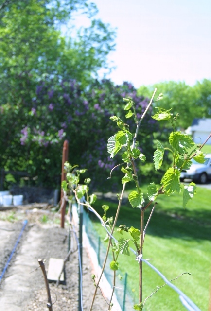 c0062603_13370037.jpg