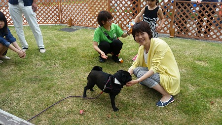 沼津中央高校でセラピードッグPR!_d0050503_784432.jpg
