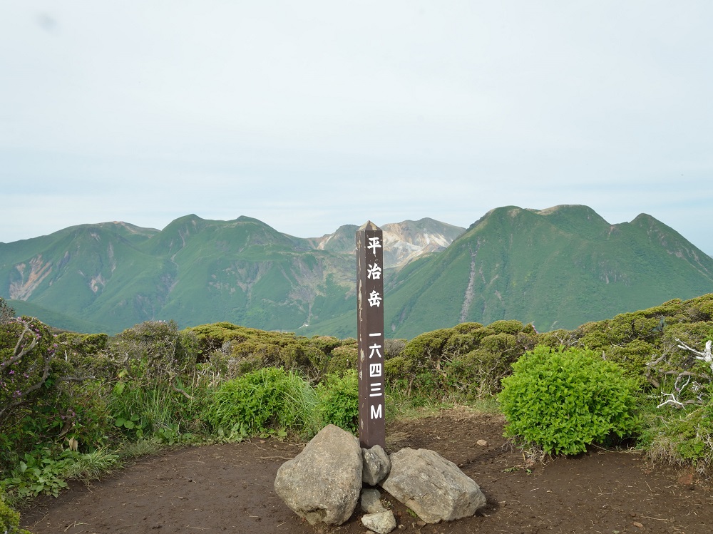 親子登山　ミヤマキリシマ鑑賞！_b0277008_198148.jpg