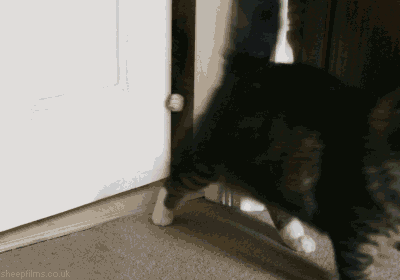 6/14(日)ベリオ全ピアノ曲+剣持秀紀新作@芦屋_c0050810_1321278.gif