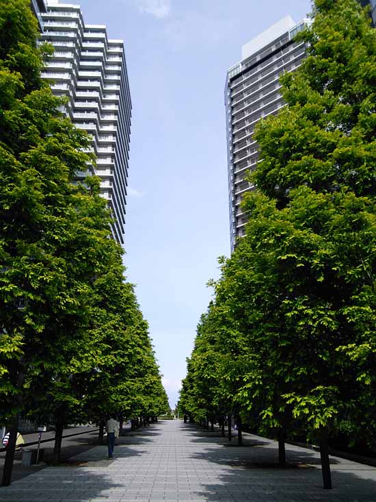 c0009413_3152661.jpg