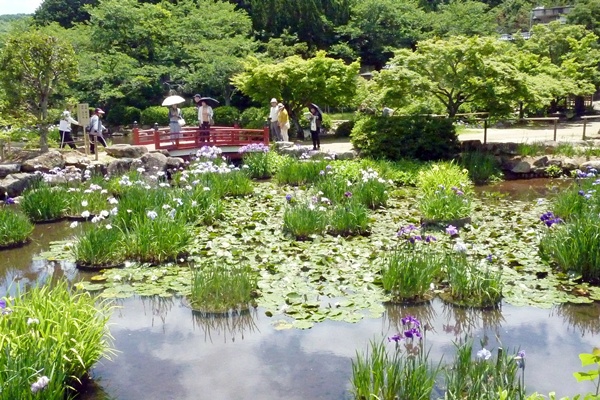 d0025414_20102235.jpg