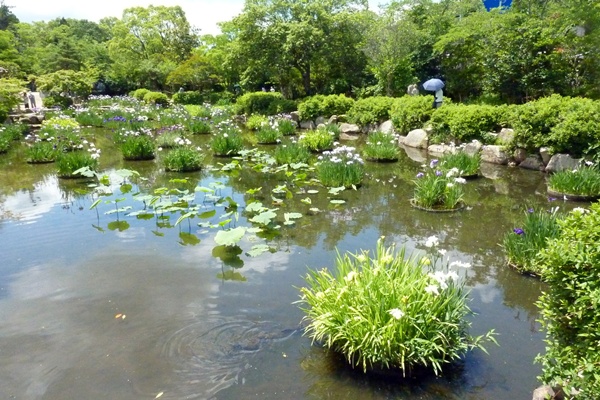 d0025414_2071899.jpg