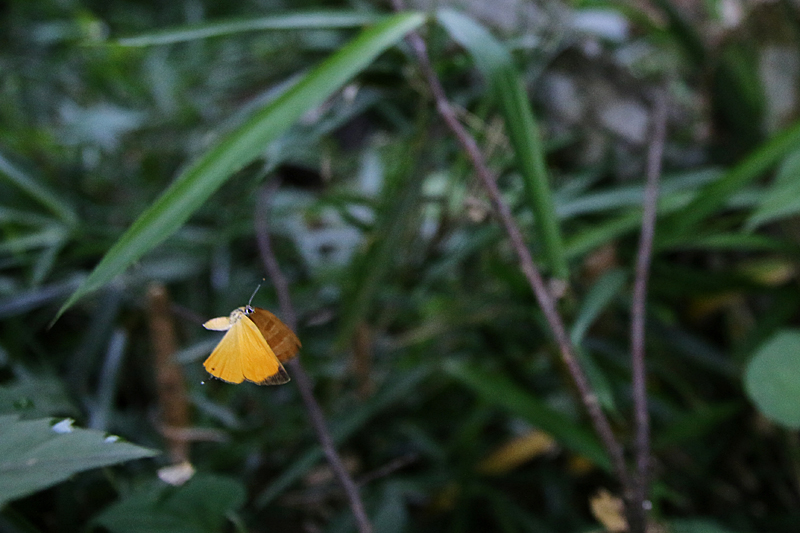 d0054625_2331387.jpg