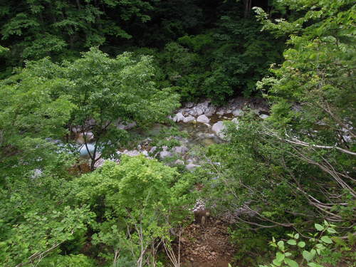 e0147226_034282.jpg
