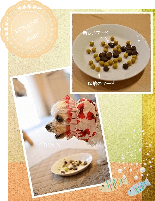 d0179828_15300955.png