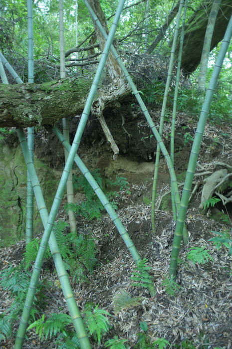 c0308431_2124116.jpg