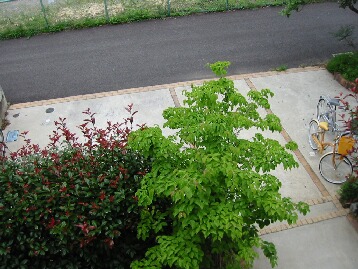 e0346541_21070235.jpg