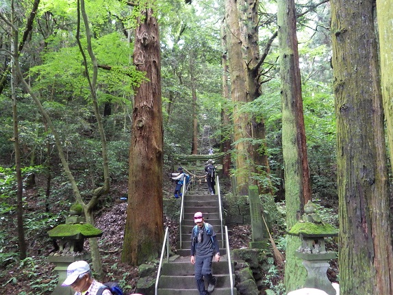 お花鑑賞・・・イワギリソウ_e0164643_10391478.jpg