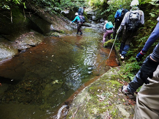 d0048350_1571643.jpg