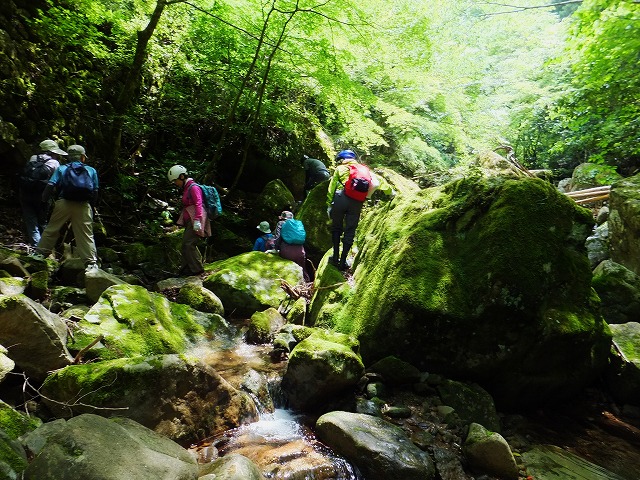 d0048350_158110.jpg