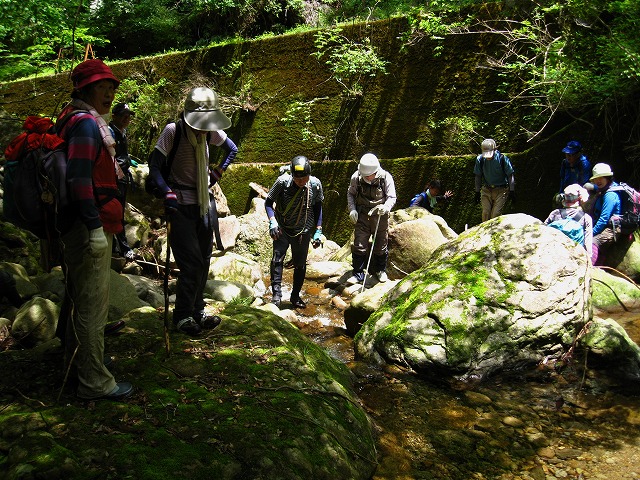 d0048350_158375.jpg