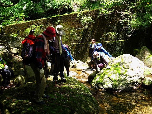 d0048350_1584748.jpg