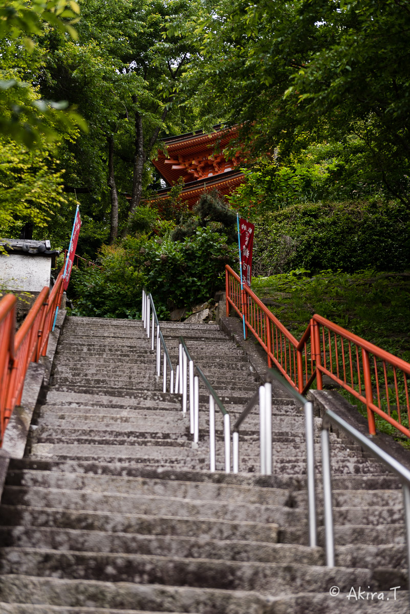 琵琶湖・竹生島 〜2〜_f0152550_21423213.jpg