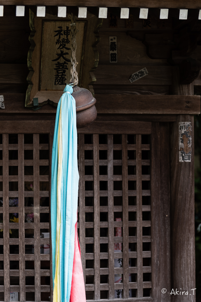 琵琶湖・竹生島 〜2〜_f0152550_21435236.jpg