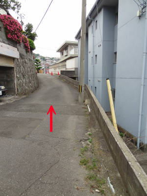 e0033751_11411970.jpg