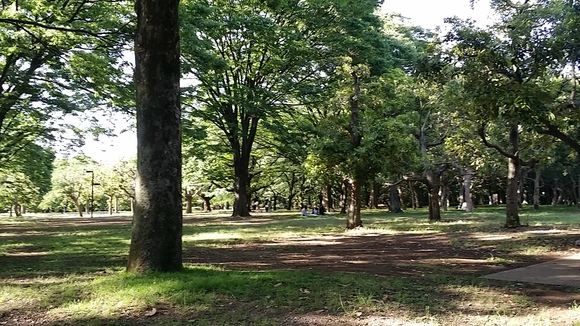 f0188652_16103316.jpg