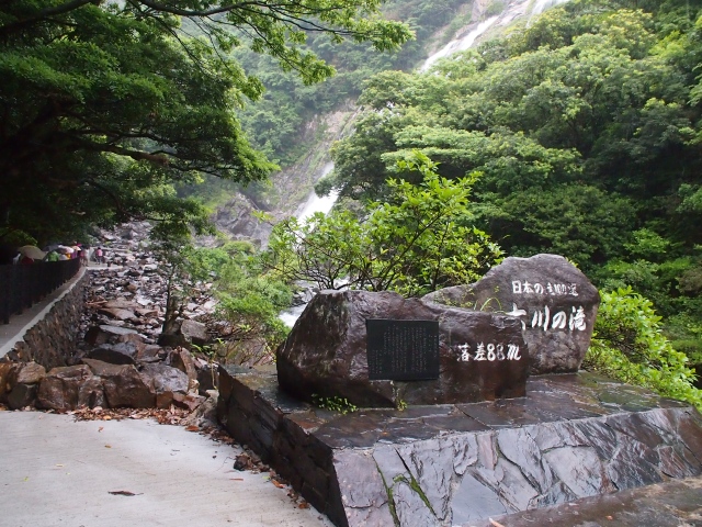 屋久島へ行って来ました　第三弾（5/23　午前午後編）_b0124456_1620859.jpg