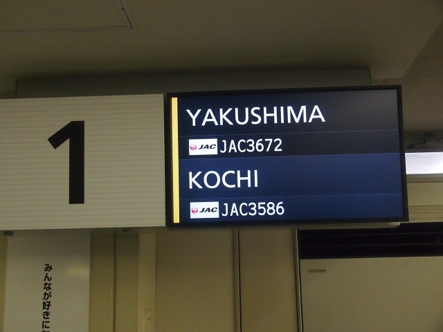 屋久島へ行って来ました　第三弾（5/23　午前午後編）_b0124456_17495866.jpg