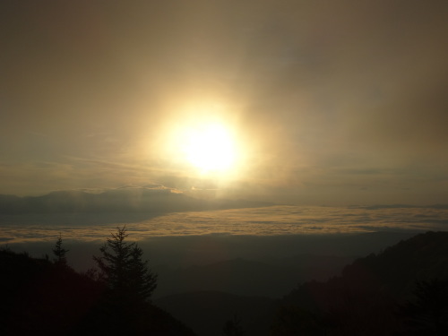 b0339060_13133304.jpg