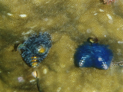 c0180460_9132265.jpg