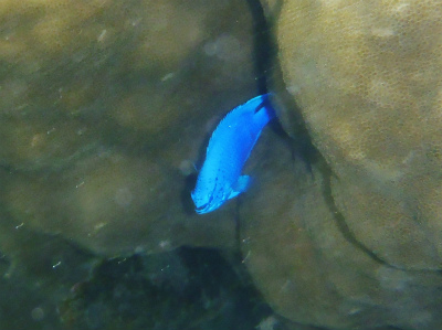 c0180460_913391.jpg
