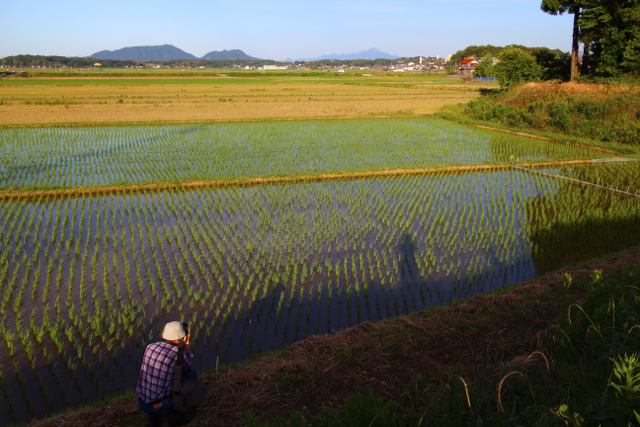 日曜日の午後_f0248564_10074337.jpg