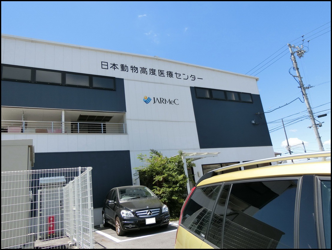 c0084268_8284436.jpg