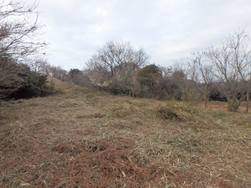 f0350468_09155801.jpg