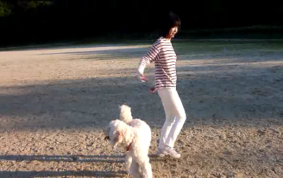 e0161972_1051324.png